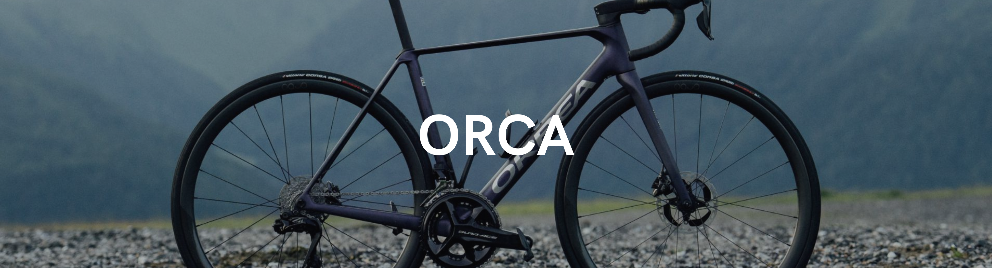 Orbea Orca