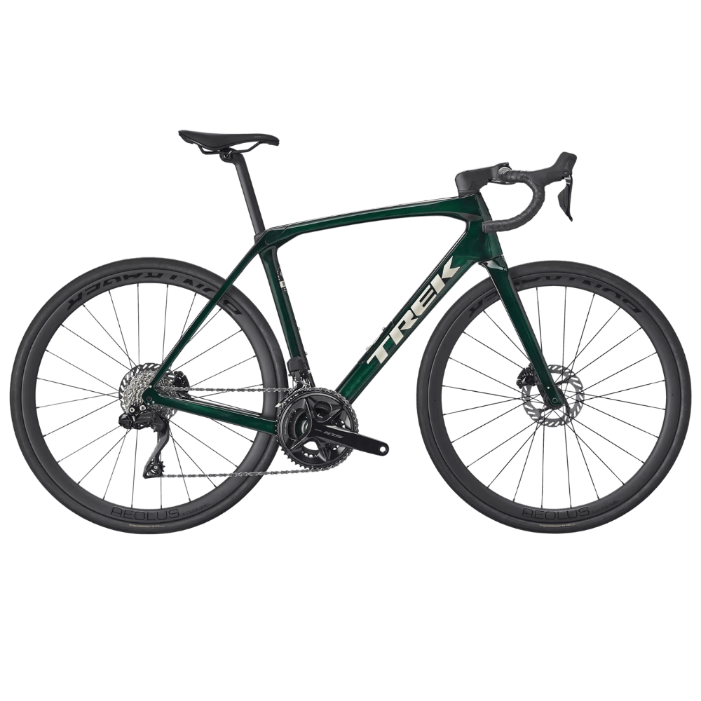 Domane SL 6 Gen 4 - Ivy Smoke