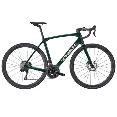 Domane SL 6 Gen 4 - Ivy Smoke