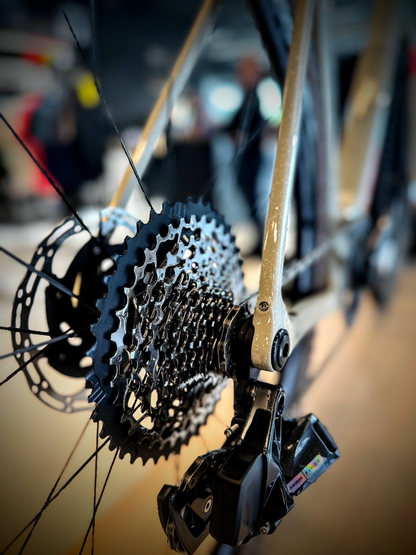 Leadout Cycling 